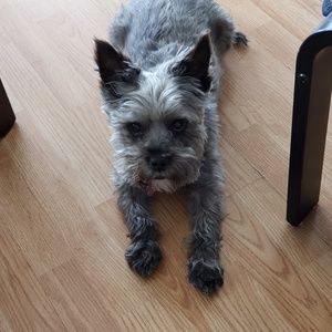 Meet your Posher, Sandra